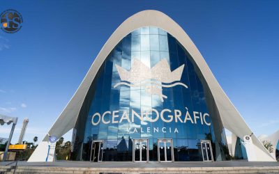 Edurne Pasaban y Ángel Rielo protagonizan el Congreso Anual de ACS-CV que se celebra en el Oceanogràfic